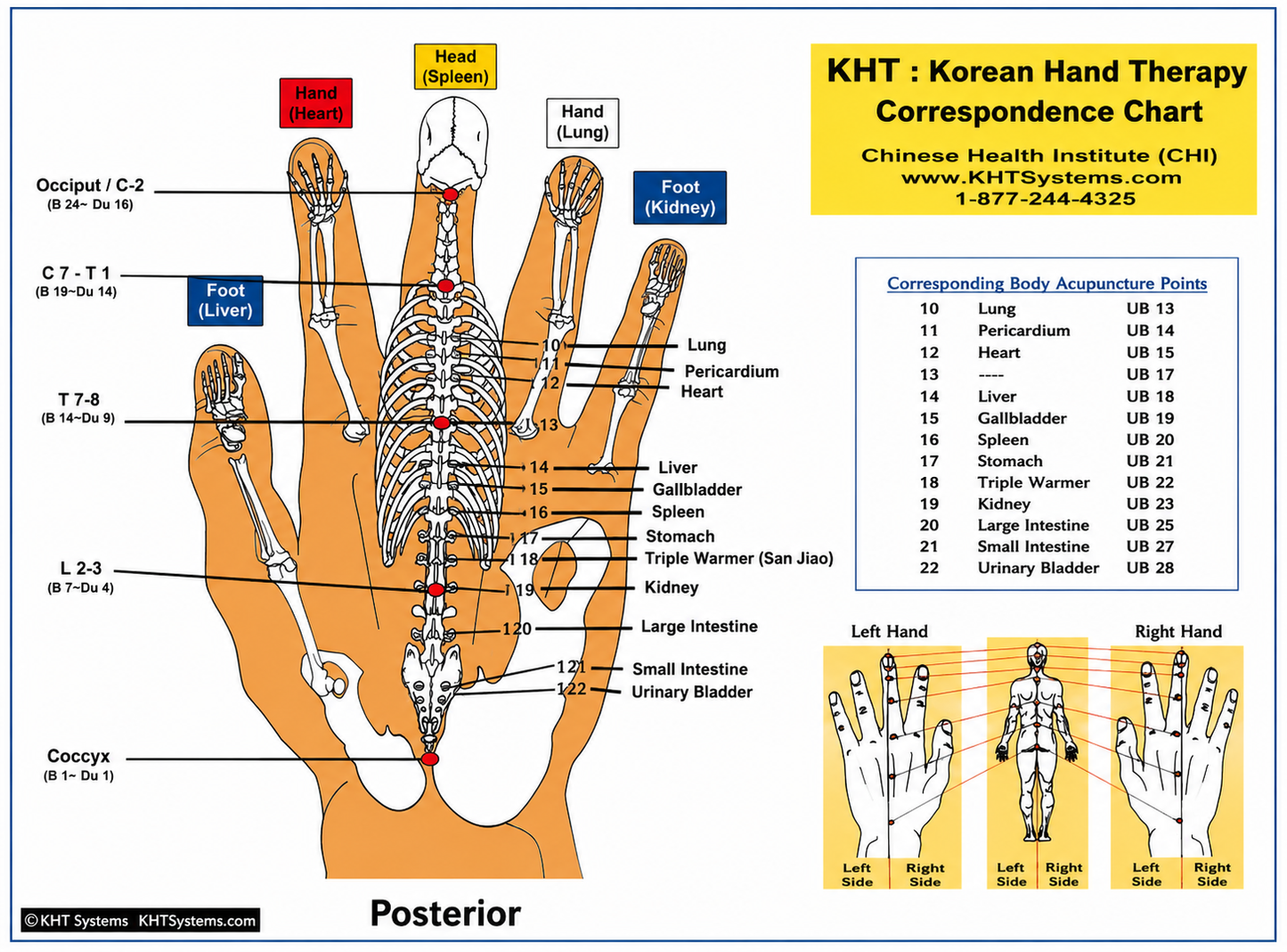 Korean Hand Therapy Chart