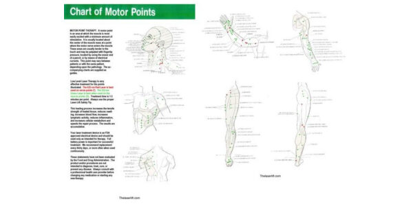Motor Point Therapy Chart